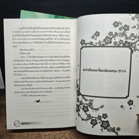 เพชรยอดคทา 2 เล่มจบ รูปที่ 9