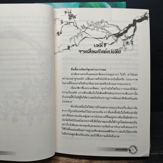 เพชรยอดคทา 2 เล่มจบ รูปที่ 7