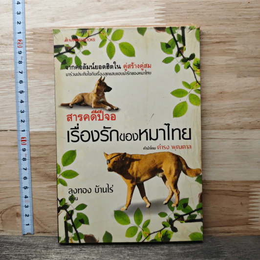 สารคดีปีจอ เรื่องรักของหมาไทย - ลุงทอง บ้านไร่ รูปที่ 1