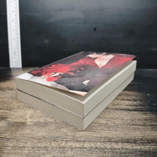 รักร้าย เล่ม 1-2 รูปที่ 4