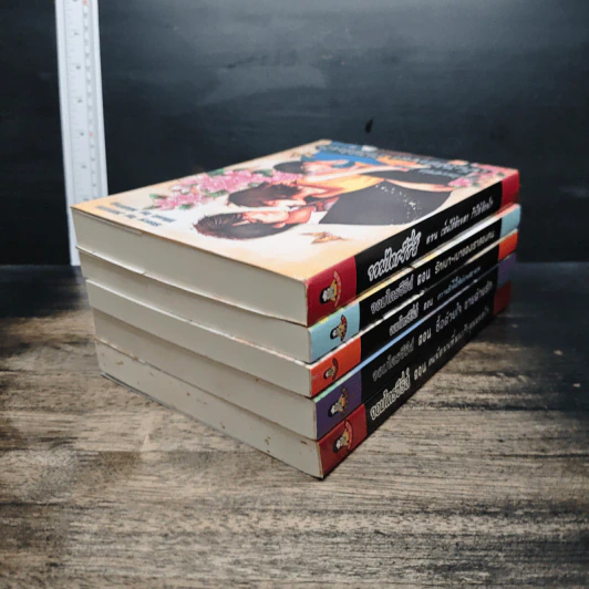 หนังสือ จอมไตรซีรีส์ 5 เล่ม รูปที่ 4