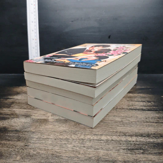 หนังสือ จอมไตรซีรีส์ 5 เล่ม รูปที่ 3