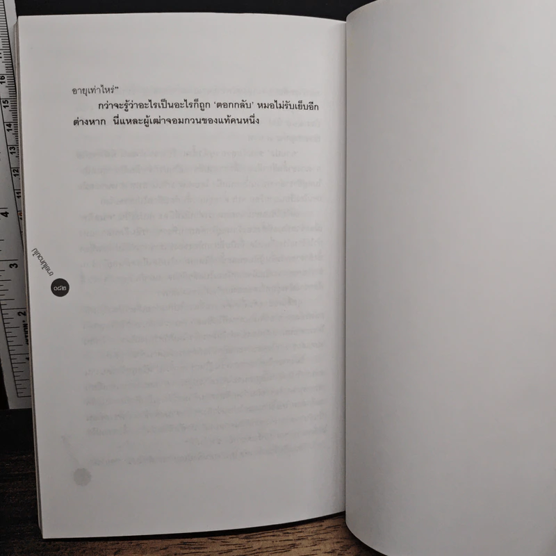 ขายไปกวนไป รูปที่ 9