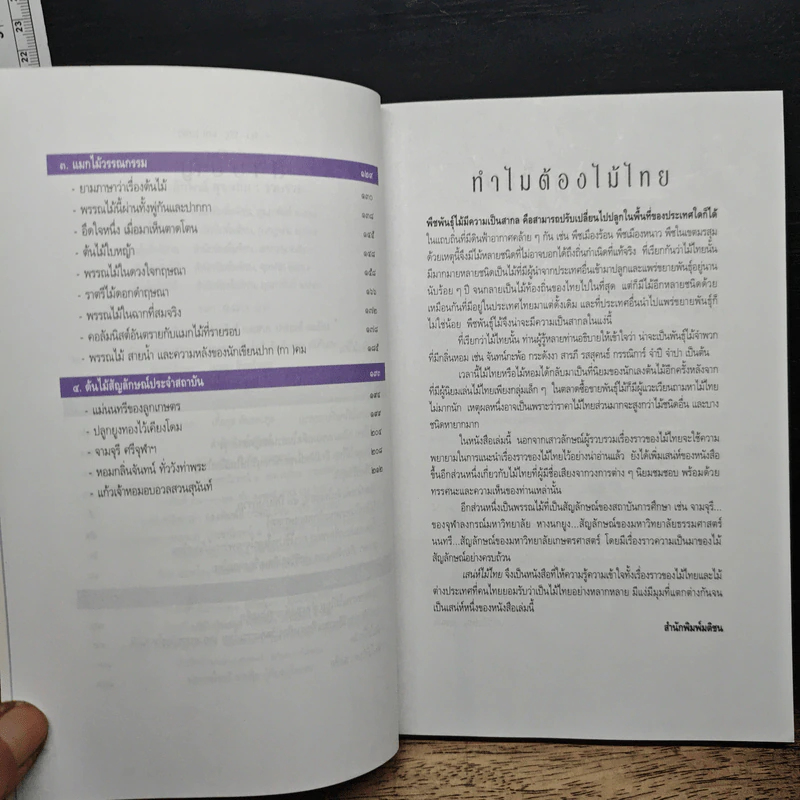 เสน่ห์ไม้ไทย: ความหมาย ความงาม และความเชื่อ รูปที่ 7