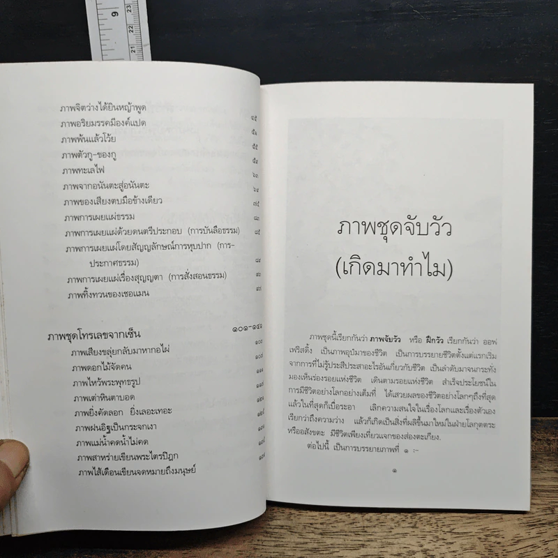 หนังสือ ภาพปริศนาธรรมชุดเซ็น - พุทธทาสภิกขุ รูปที่ 9