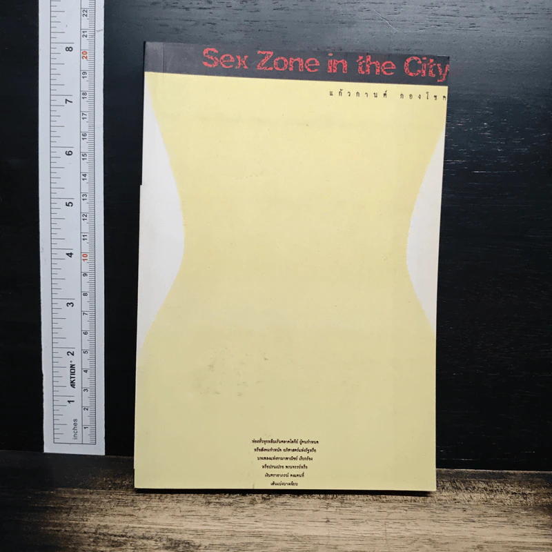 Sex Zone in the City รูปที่ 1