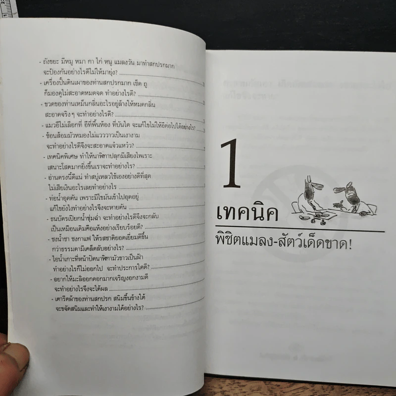เทคนิคชาวบ้านเพื่อการอยู่ดีกินดี - ฐิติญาณ์ รูปที่ 12