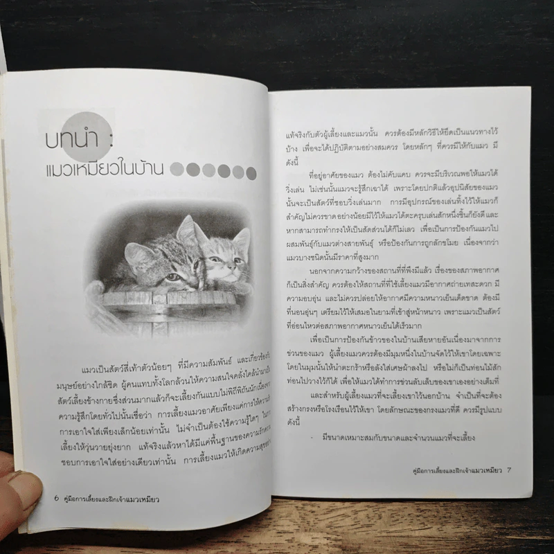 คู่มือการเลี้ยงและฝึกเจ้าแมวเหมียว รูปที่ 8