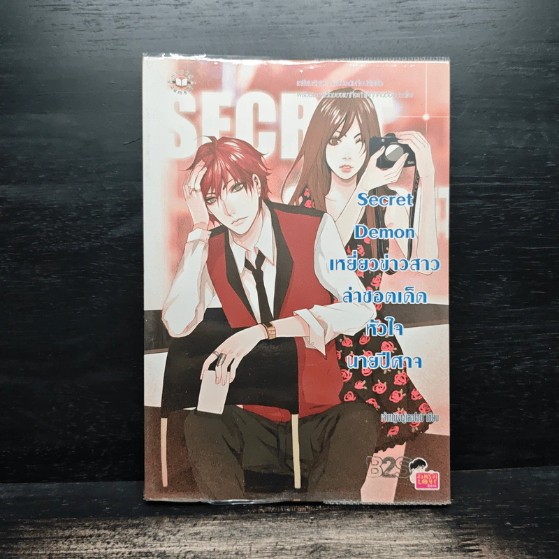 Secret Demon เหยี่ยวข่าวสาวล่าชอตเด็ดหัวใจนายปีศาจ - เจ้าหญิงผู้เลอโฉม รูปที่ 1
