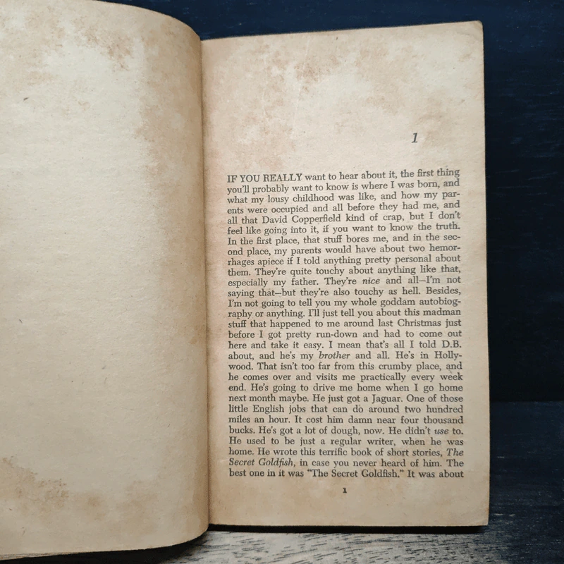 The Catcher in the Rye - J. D. Salinger รูปที่ 7