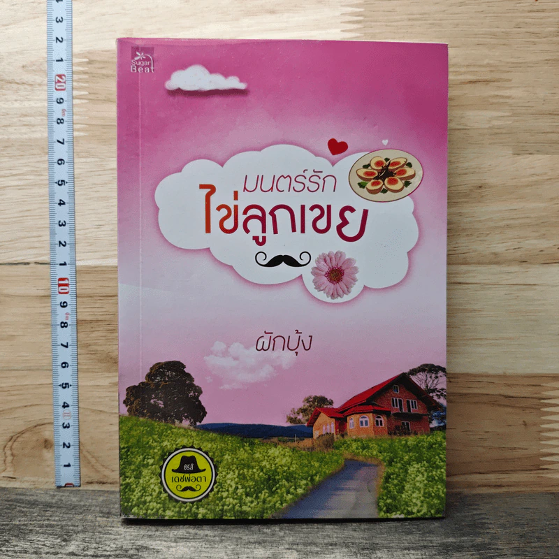 หนังสือ มนตร์รักไข่ลูกเขย รูปที่ 1