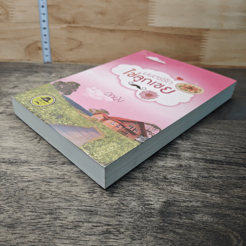 หนังสือ มนตร์รักไข่ลูกเขย รูปที่ 3