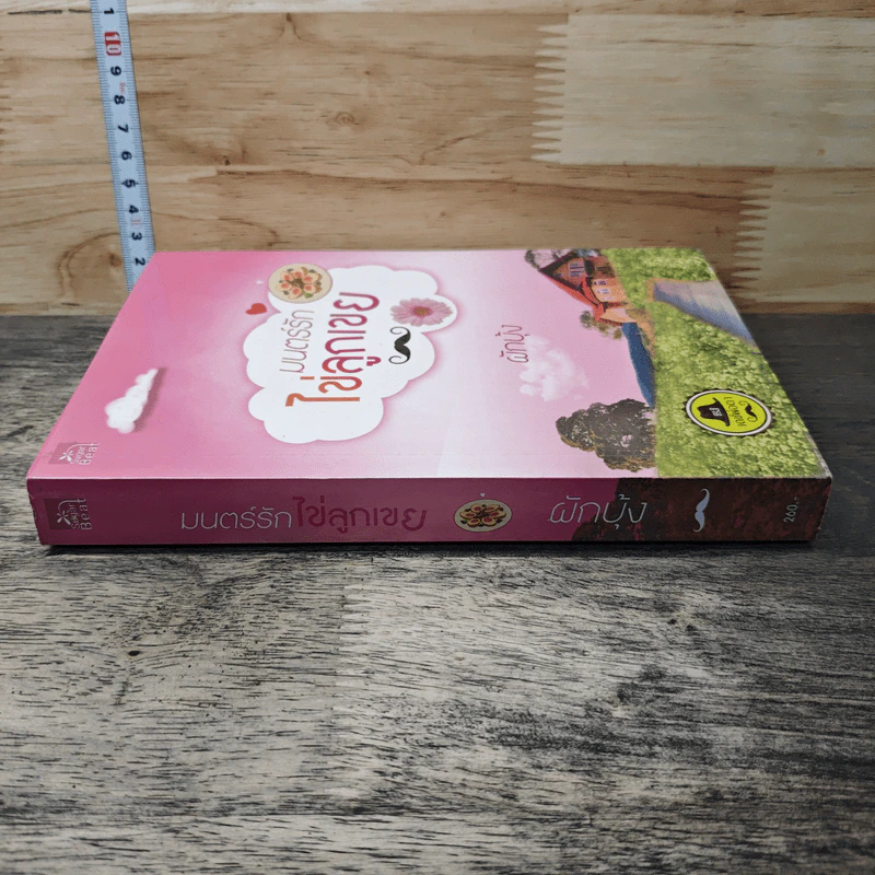 หนังสือ มนตร์รักไข่ลูกเขย รูปที่ 2