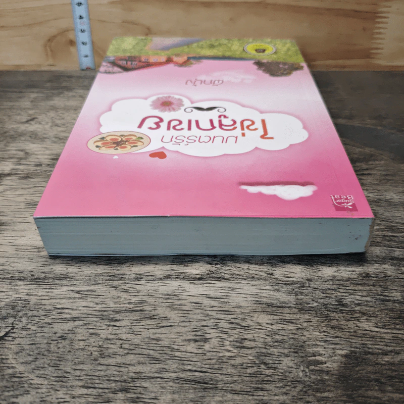 หนังสือ มนตร์รักไข่ลูกเขย รูปที่ 4