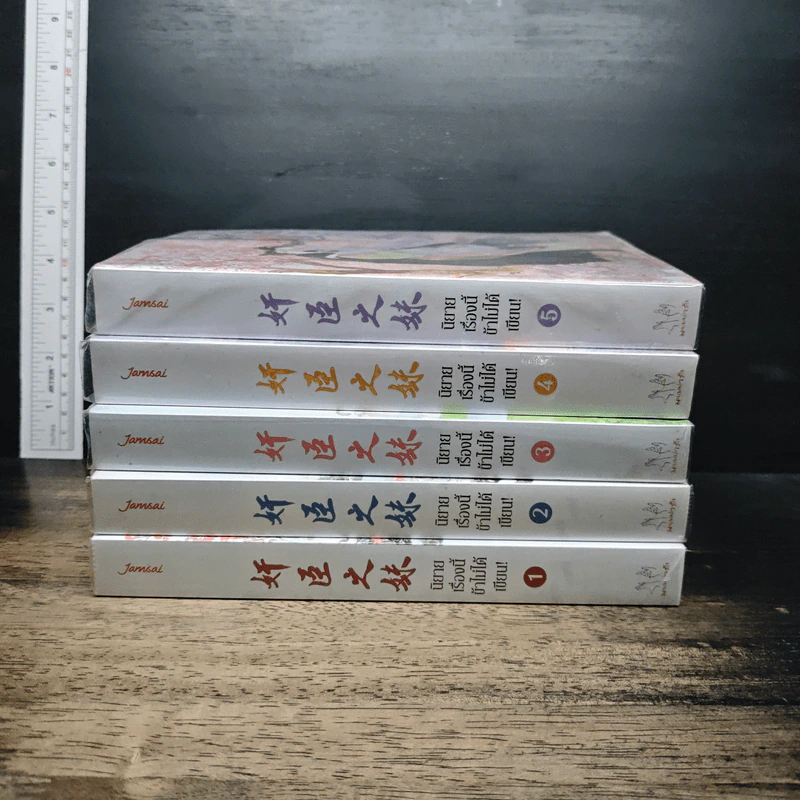 หนังสือ นิยายเรื่องนี้ข้าไม่ได้เขียน 5 เล่มจบ รูปที่ 2