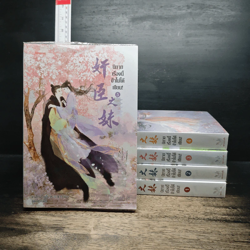 หนังสือ นิยายเรื่องนี้ข้าไม่ได้เขียน 5 เล่มจบ รูปที่ 1