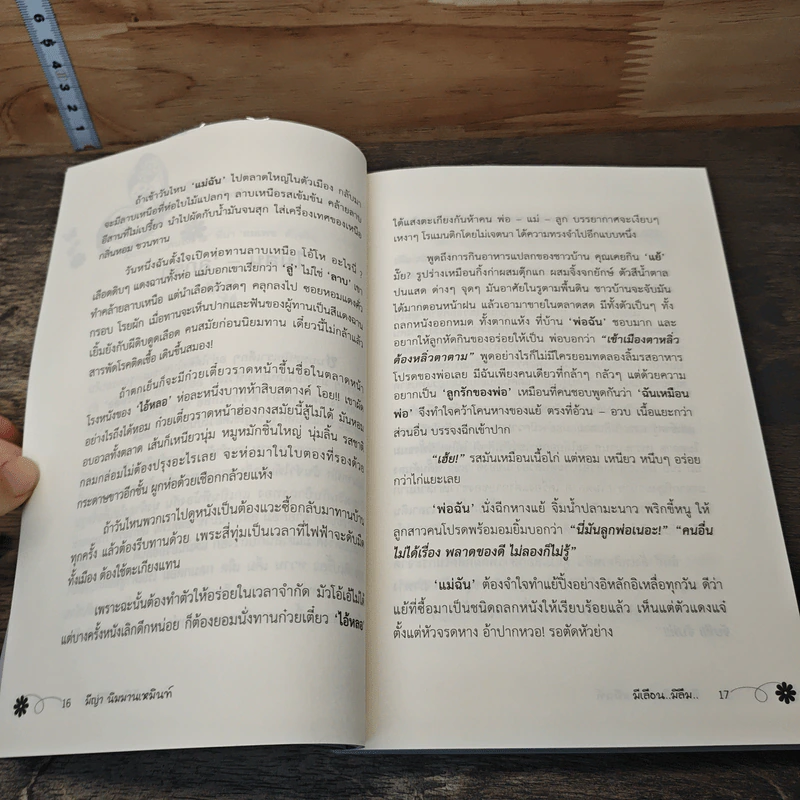 มีเลือน-มิลืม รูปที่ 8