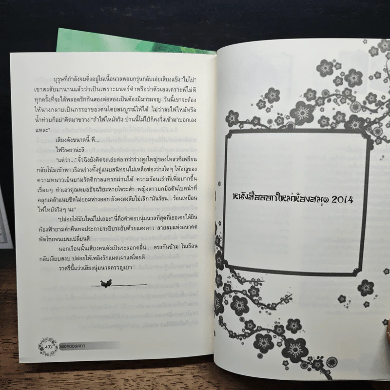 เพชรยอดคทา 2 เล่มจบ รูปที่ 9