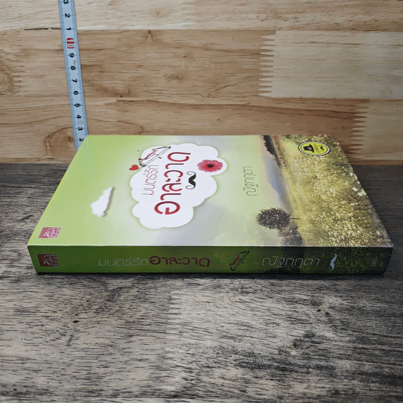 หนังสือ มนตร์รักอาละวาด รูปที่ 2