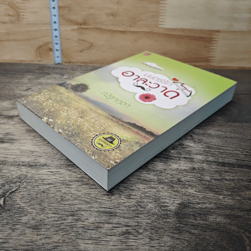 หนังสือ มนตร์รักอาละวาด รูปที่ 3