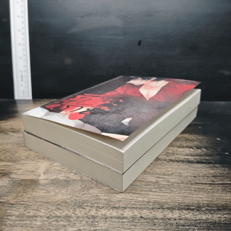 รักร้าย เล่ม 1-2 รูปที่ 4