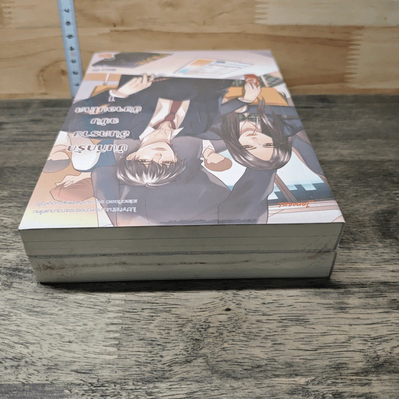 บันทึกรักอันตรายฉบับยัยจอมโหด 2 เล่มจบ - Mimoza รูปที่ 4