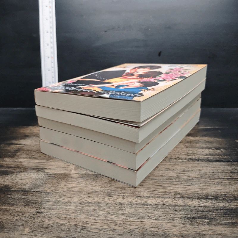 หนังสือ จอมไตรซีรีส์ 5 เล่ม รูปที่ 3