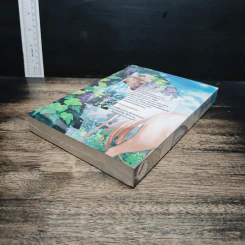 โอบตะวัน รูปที่ 6