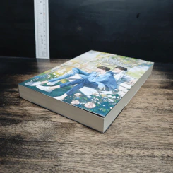 หนังสือ คลื่นความถี่ต่ำ รูปที่ 4