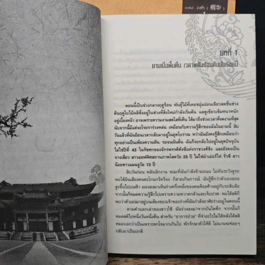 Boxset เจาะมิติพิชิตบัลลังก์ 4 เล่มจบ รูปที่ 10