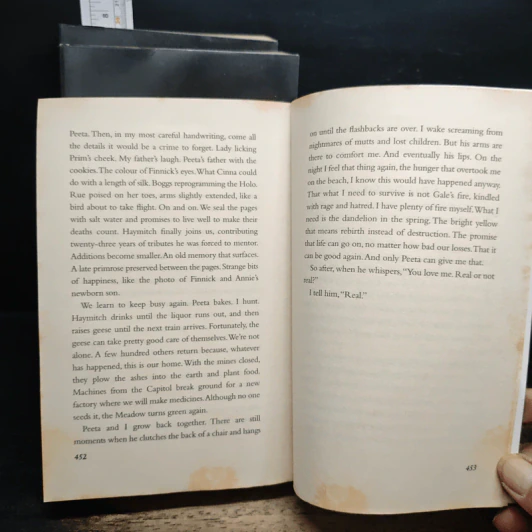 The Hunger Games + Mockingjay + Catching Fire - Suzanne Collins รูปที่ 11