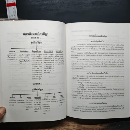 พระไตรปิฎก ฉบับสำหรับประชาชน รูปที่ 10