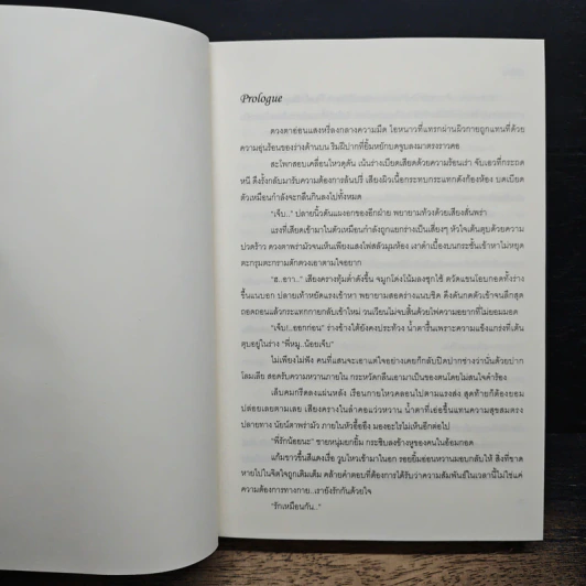 Sins : Sloth รูปที่ 6