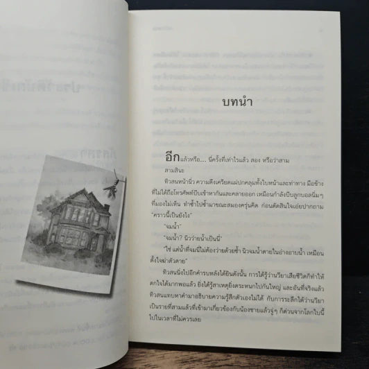 เล่ห์เงาลวง รูปที่ 8