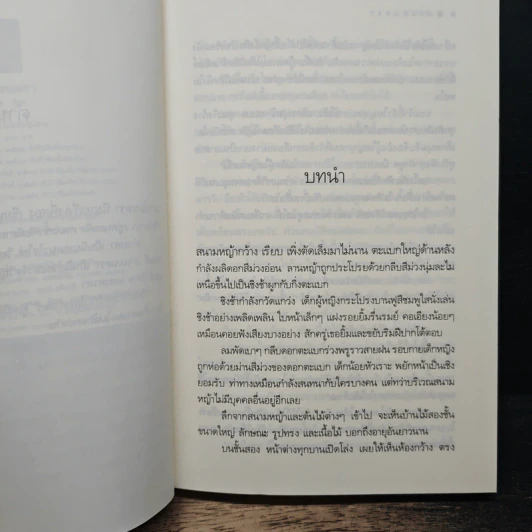 ม่านมนตรา รูปที่ 8