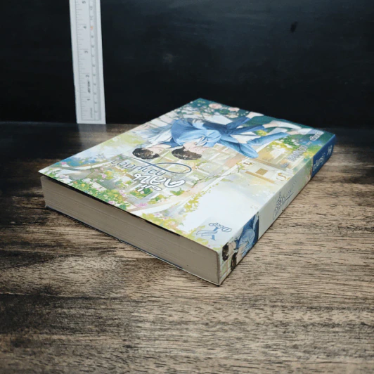 หนังสือ คลื่นความถี่ต่ำ รูปที่ 5