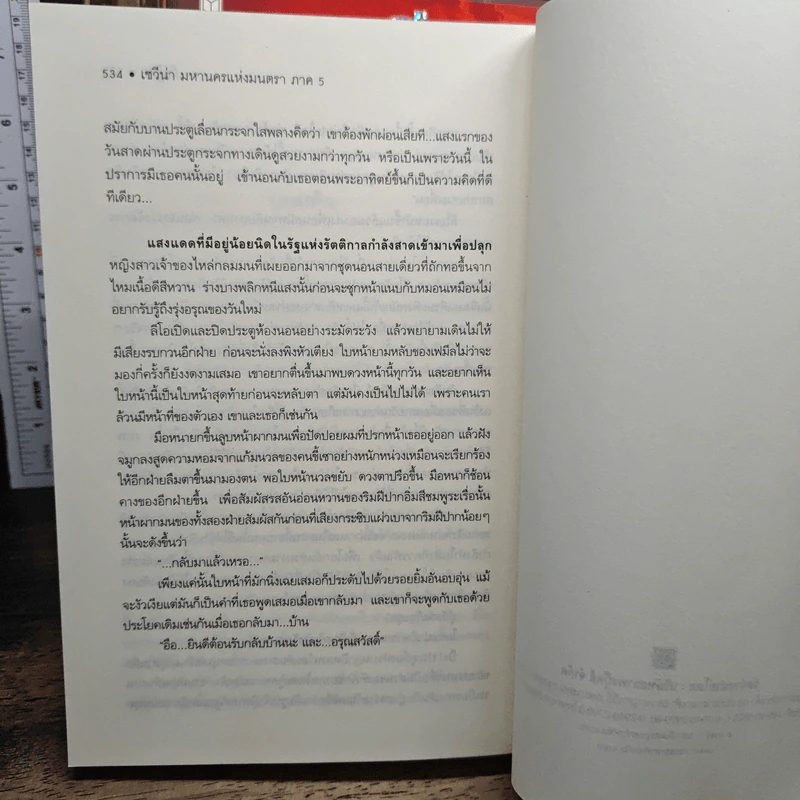 Box Set เซวีน่า มหานครแห่งมนตรา 5 เล่มจบ รูปที่ 12