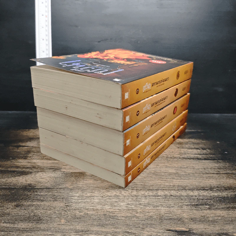 Box Set เซวีน่า มหานครแห่งมนตรา 5 เล่มจบ รูปที่ 8