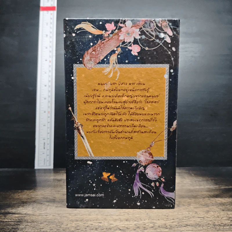 Box Set ตำนานรักเหนือภพ 3 เล่มจบ + ภาคพิเศษ รูปที่ 2