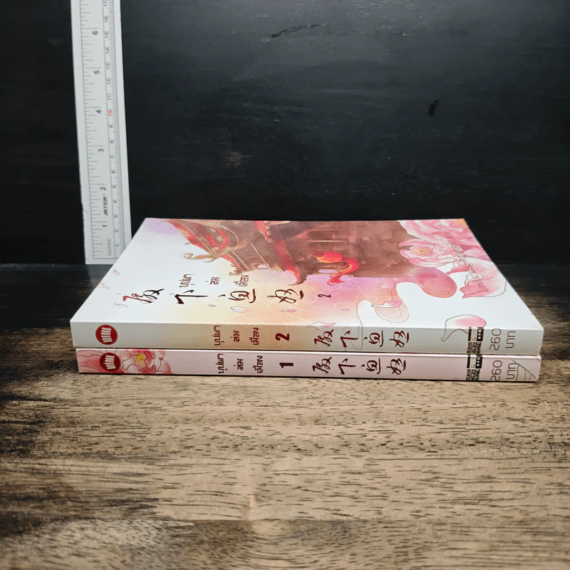 บุปผาล่มเมือง 2 เล่มจบ รูปที่ 3