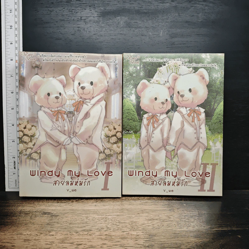 Windy My Love สายลมห่มรัก 2 เล่มจบ รูปที่ 1