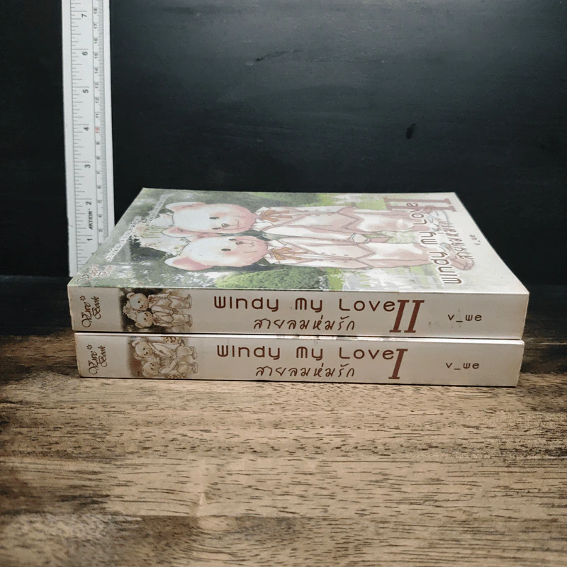 Windy My Love สายลมห่มรัก 2 เล่มจบ รูปที่ 3