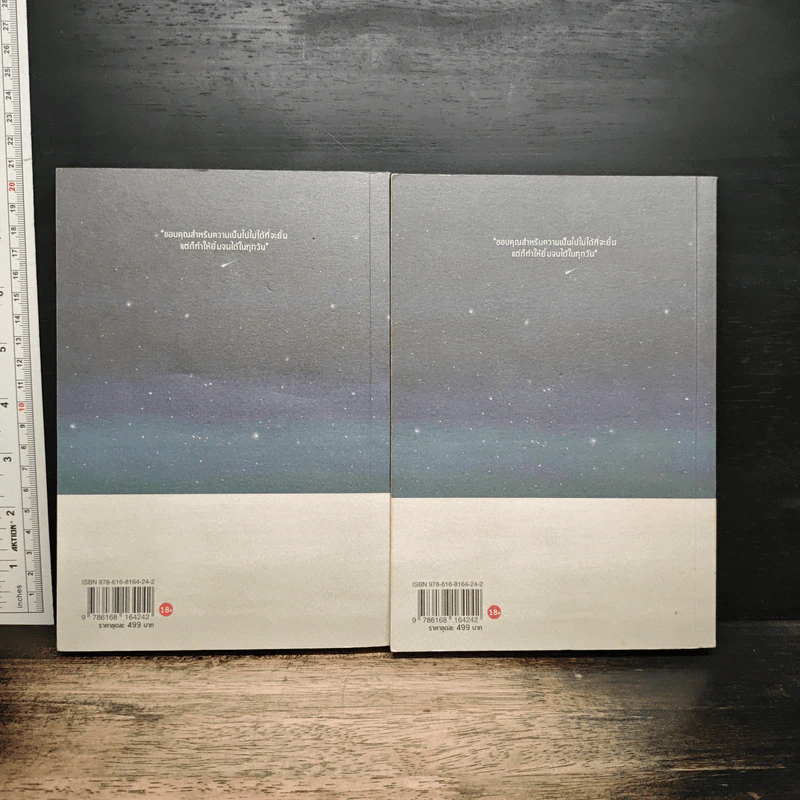 หนังสือ แล้วแต่ดาว 2 เล่มจบ รูปที่ 2