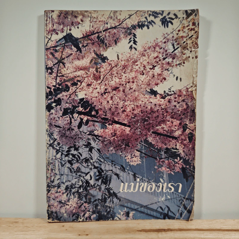 แม่ของเรา รูปที่ 1