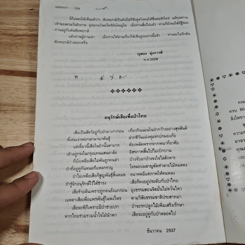 แม่ของเรา รูปที่ 10