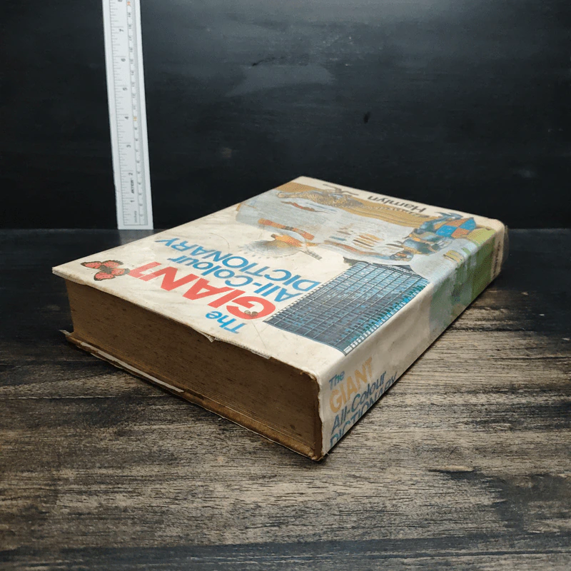 The Giant All-Colour Dictionary รูปที่ 5