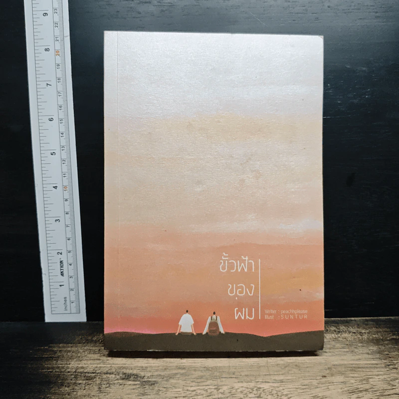 หนังสือ ขั้วฟ้าของผม รูปที่ 1