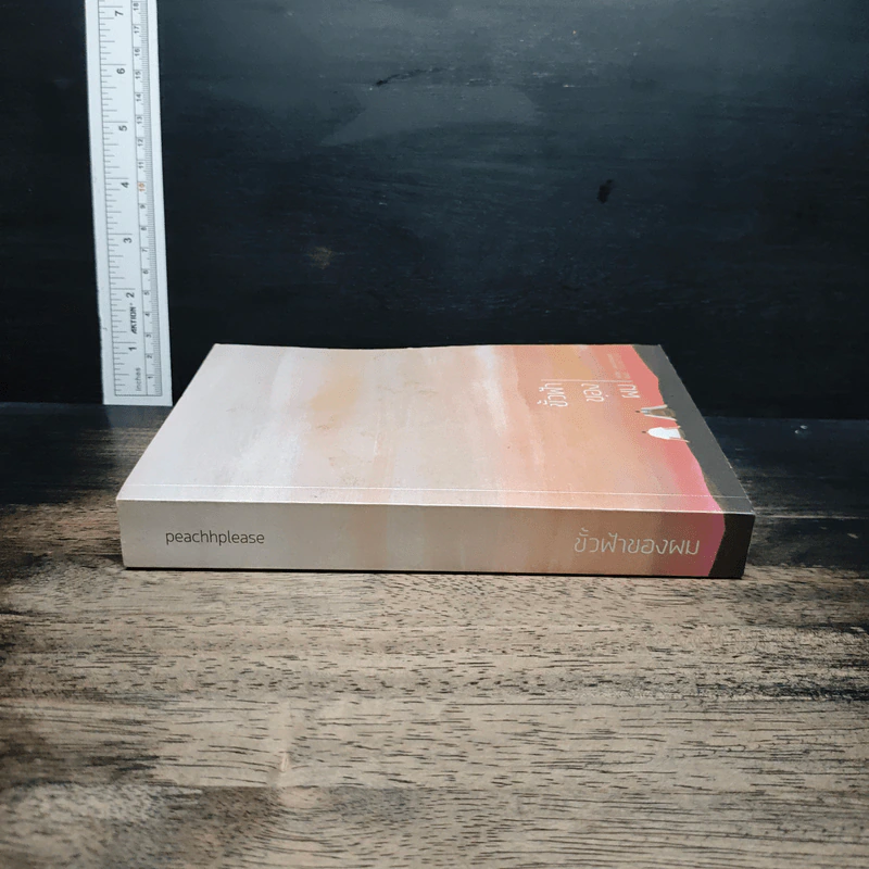หนังสือ ขั้วฟ้าของผม รูปที่ 3