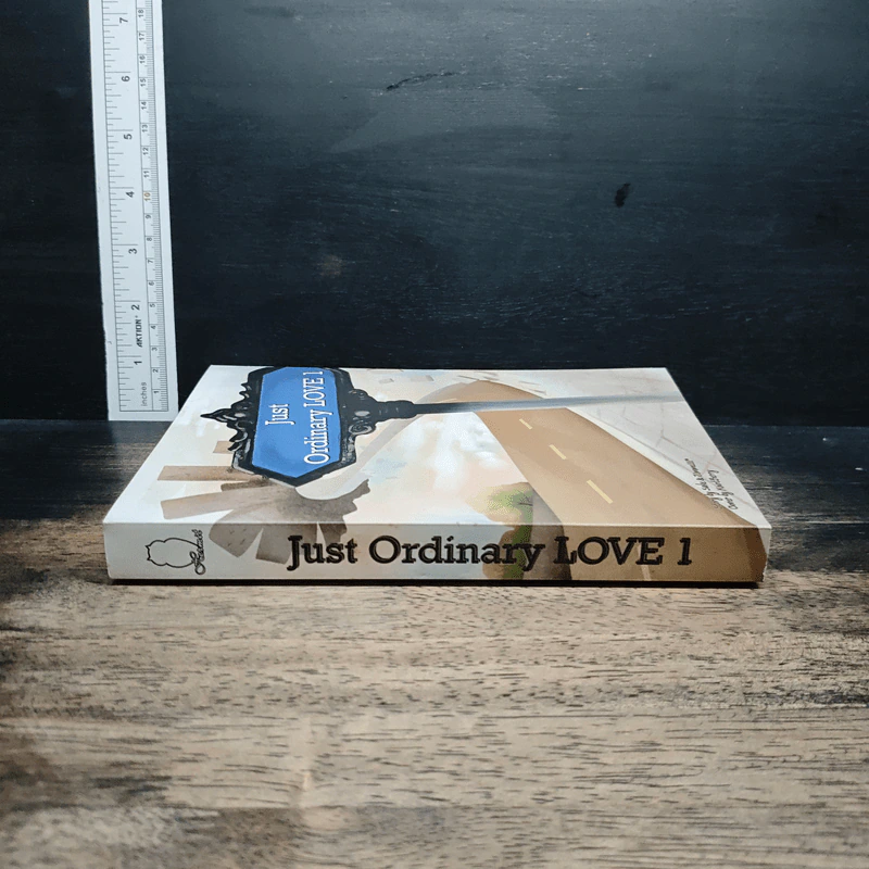 หนังสือ Just Ordinary Love 1 รูปที่ 3