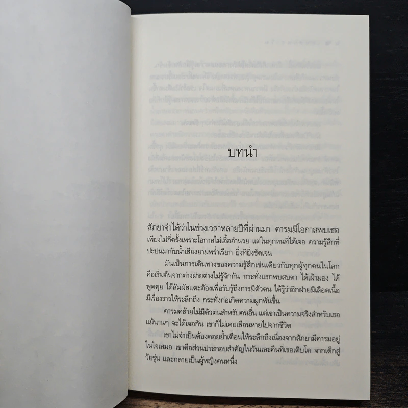 เสน่หาตราใจ - ปราณธร รูปที่ 8